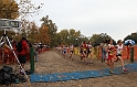 2010CIF XC GD5-1517